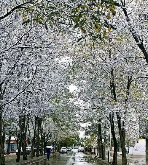 雪下得这么认真,银光人的朋友圈怎能错过