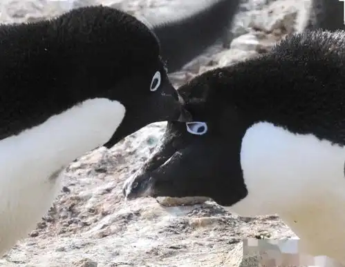 笑懵全国教师统一台词曝光,你老师肯定也说过哈哈哈哈哈哈