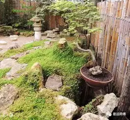 客厅摆什么招财
