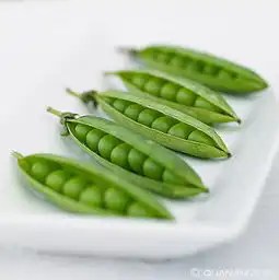特写全景网
