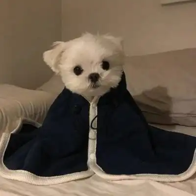 测试一个超长简介的文章