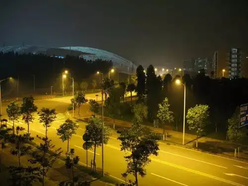 焦点寒冬腊月,难凉考研热血