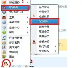 qq会员怎么弄透明皮肤