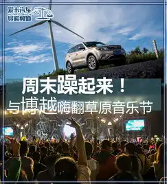 与博越一起嗨翻草莓草原音乐节