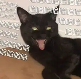 猫为什么总爱推桌子上的东西,单纯手贱