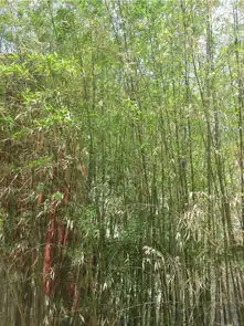 我爱北京,我的家,北京旅游攻略