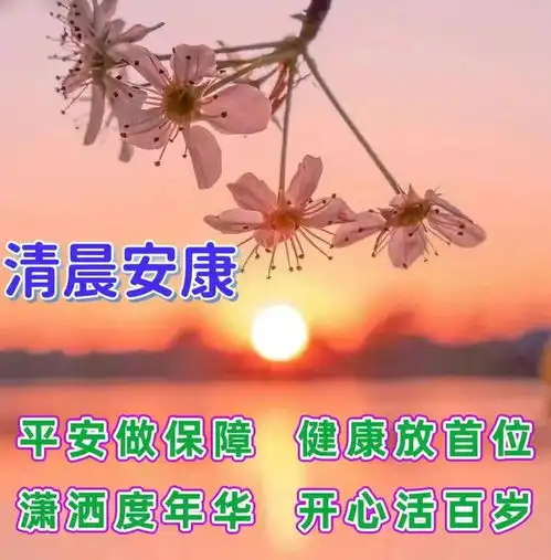阳光心态的正能量早安问候语,简单快乐的早上好祝福唯美句子
