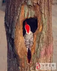 精选图片帖第30页