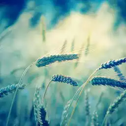 人不就是这样吗,你所不在乎的,都是你已经拥有的