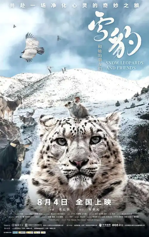 测试一个超长简介的文章