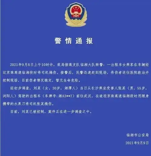 高速上一女乘客突然拿刀刺向司机律师女子精神问题是起诉关键