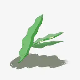 手绘立秋秋季卡通四季豆图片素材其他格式下载动漫人物大全