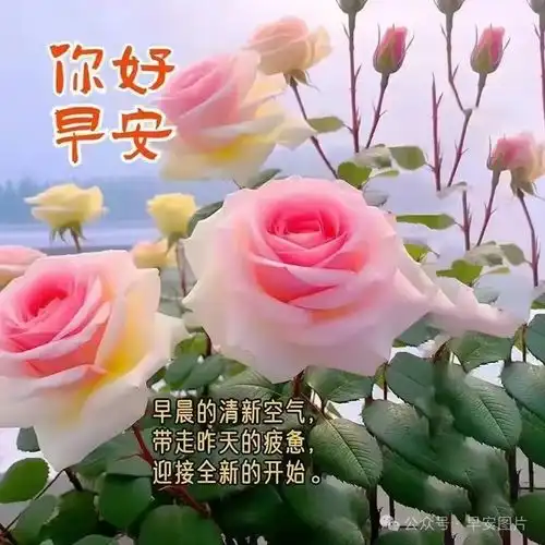 2024年4月24日周三早安暖心祝福图片,温馨的问候祝福大全周三早安愉快周三快乐早上好早安手机网易网