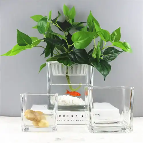 水培植物玻璃瓶方形玻璃花瓶透明绿萝睡莲铜钱草水养花盆器皿容器