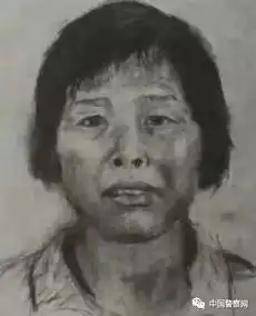 梅姨案背后寻亲者寻找多年未果心灰意冷自杀