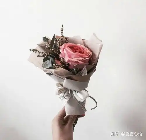 朋友圈最唯美的爱情心语,句句发自肺腑