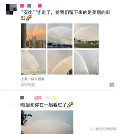 美呆了嘉定台风过后惊现彩虹一瞬间刷爆朋友圈