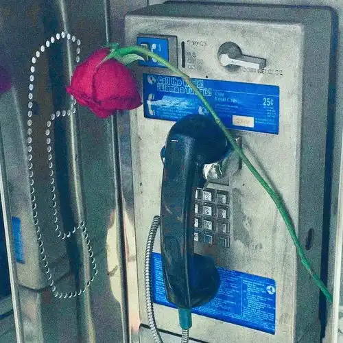 2020年,你准备换怎样的微信头像