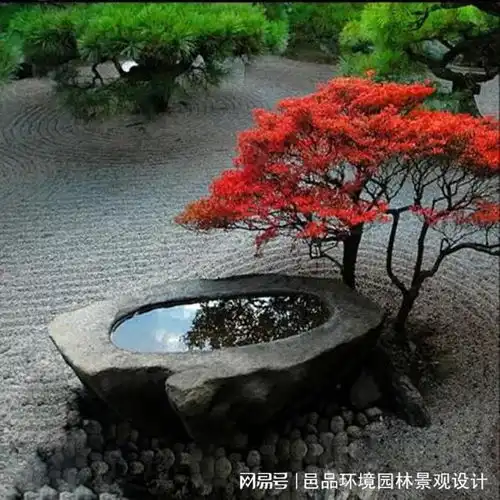 庭院水景怎么养护这些你应该知道