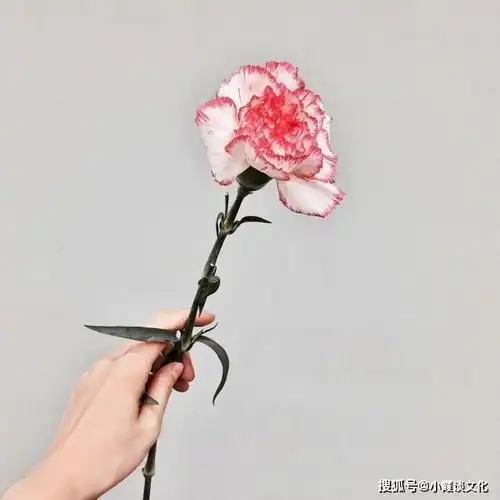 读后让人成熟又现实的哲理短句,精辟透彻,耐人寻味