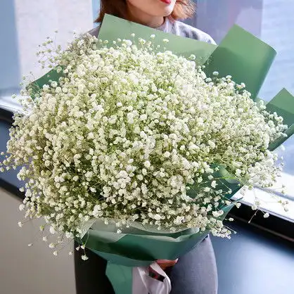 520情人节送满天星代表什么