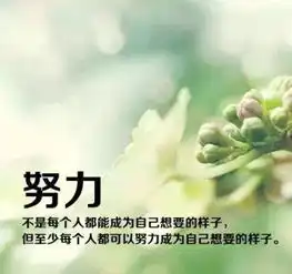 再见,上半年加油,下半年