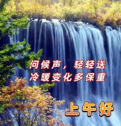 2月10日周五早安问候图片带字,清晨起来问个好,健康平安是心愿