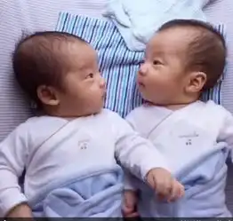 陈建州双生子每日对看感情好弟弟大哭哥哥镇定图