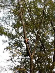 寻找那一抹醉人的秋栖霞山赏枫20121121图片