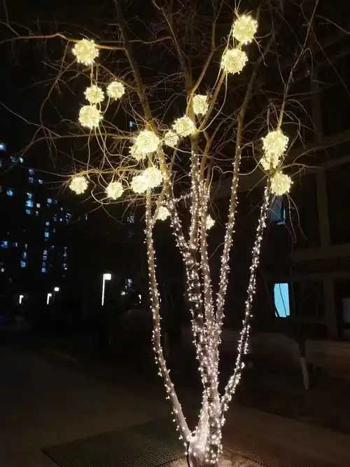 盛装迎佳节喜庆迎新年