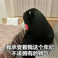 熊本熊搞笑聊天qq表情大全