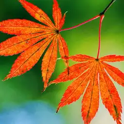 微信头像图片微信头像大全扣扣居第123页