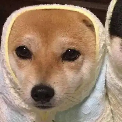 测试一个超长简介的文章