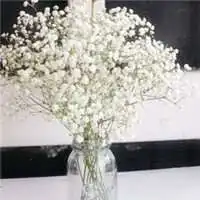 满天星头像唯美图片微信头像图片大全