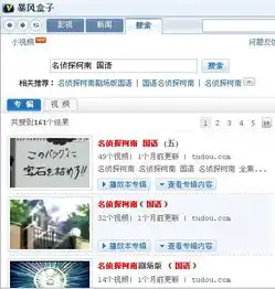 什么播放软件可以看国语版的名侦探柯南不要网站