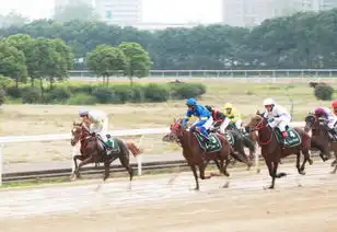 武汉是2017中国最幸福城市,来看看幸福密码解析