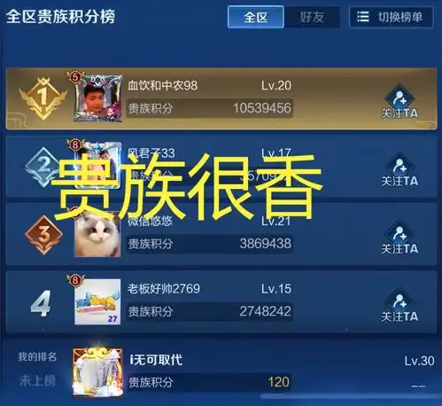 王者荣耀新版本,贵族等级最高10级,v10玩家可以皮肤共享