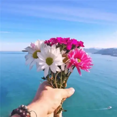测试一个超长简介的文章