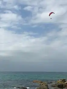 我想你会喜欢这个地方悉尼自然与街区风景篇