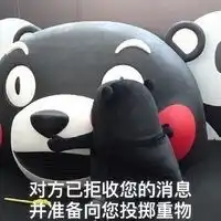 熊本熊拒收消息恶搞表情包下载拒收消息熊本熊表情包高清无水印极光下载站