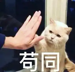 猫兄弟不惜一切代价叫铲屎官起床,只是为了