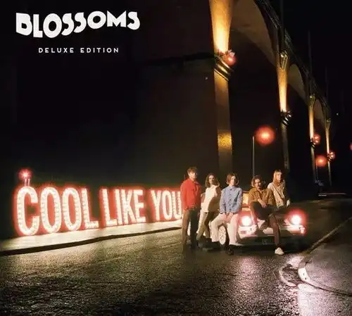 村上隆孟京辉blossoms开花团...热门ip登陆上海,这个11月不寂寞