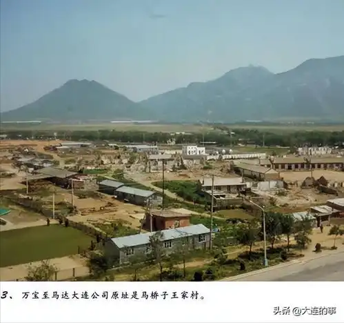 大连招商那些事儿,王永观与第一家日本独资企业