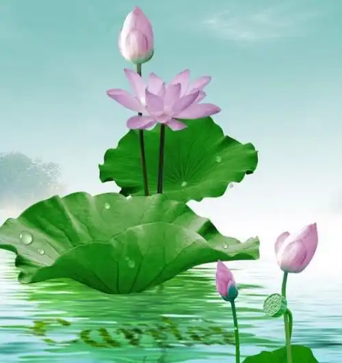7月1日开始,4属相吉星高照,事业步步高升,喜事不断