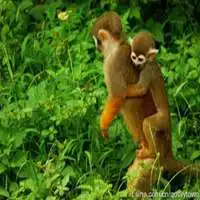 做了妈妈的女生头像微信头像图片大全