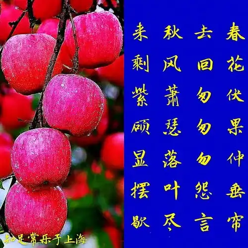 测试一个超长简介的文章