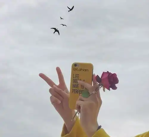 让人百读不厌的早安心语,选一句发朋友圈