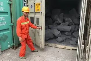 1075吨洋垃圾被查扣形状各异颜色灰暗