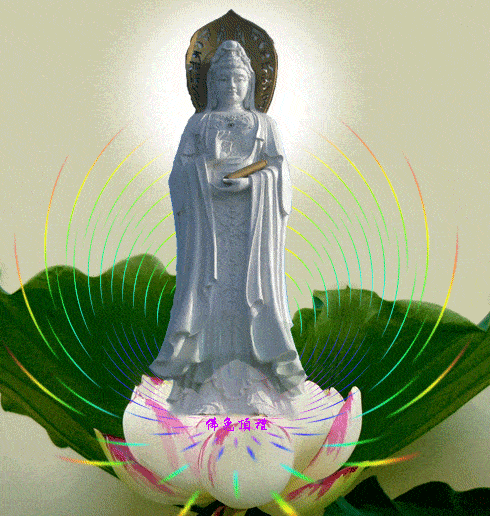 今日农历九月十九恭迎观世音菩萨出家日卍
