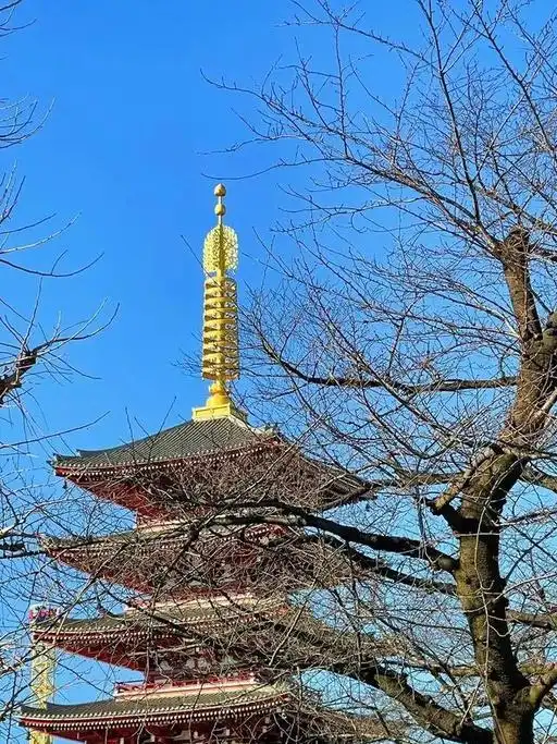 日本园林真的比中国园林更有禅意吗谈谈感受